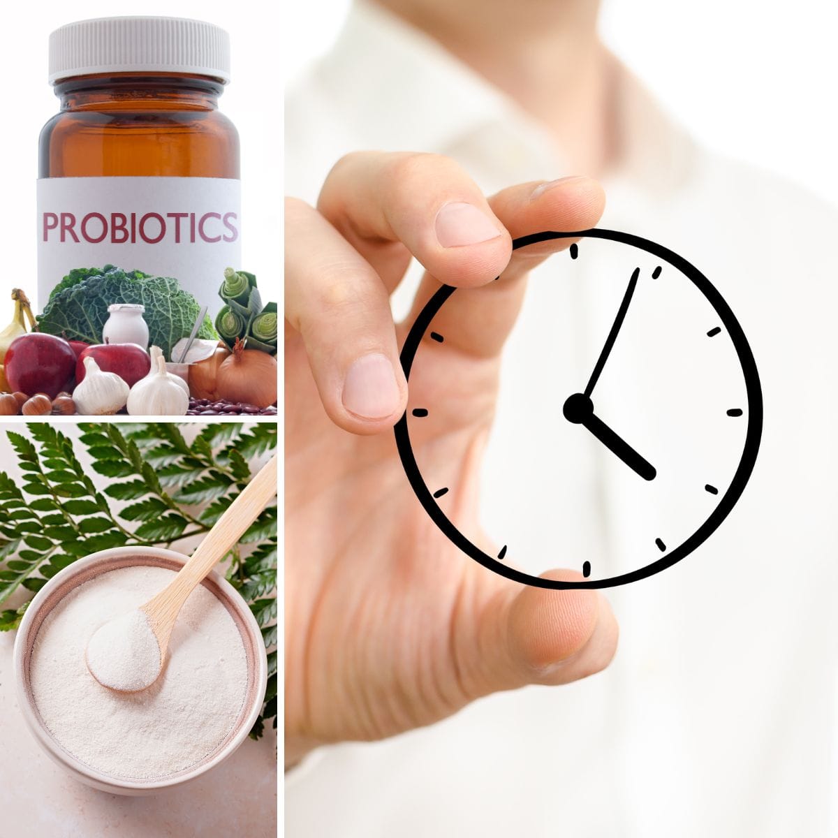 How Long Does It Take for Probiotic Powder to Work