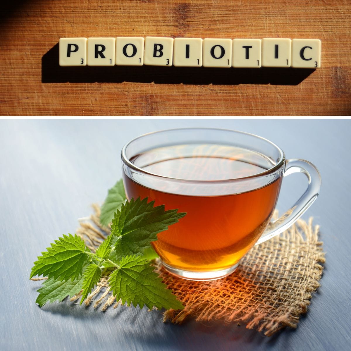 Is it good to drink probiotic tea