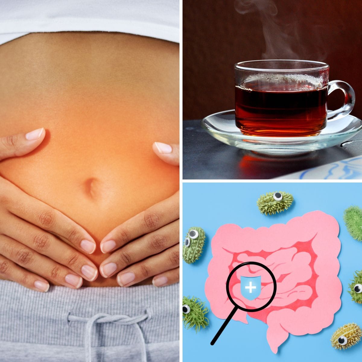 When Should I Drink Probiotic Tea