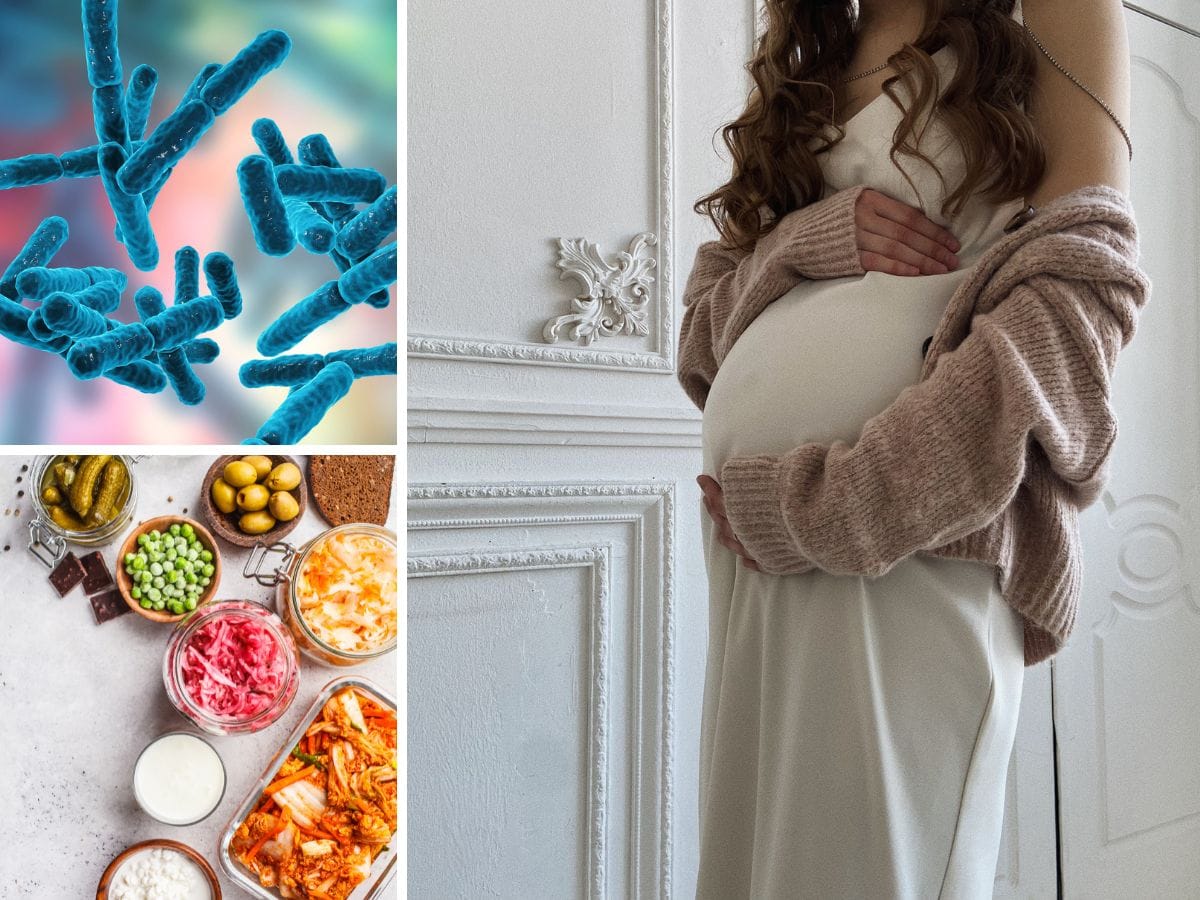 what are the best probiotics for pregnancy