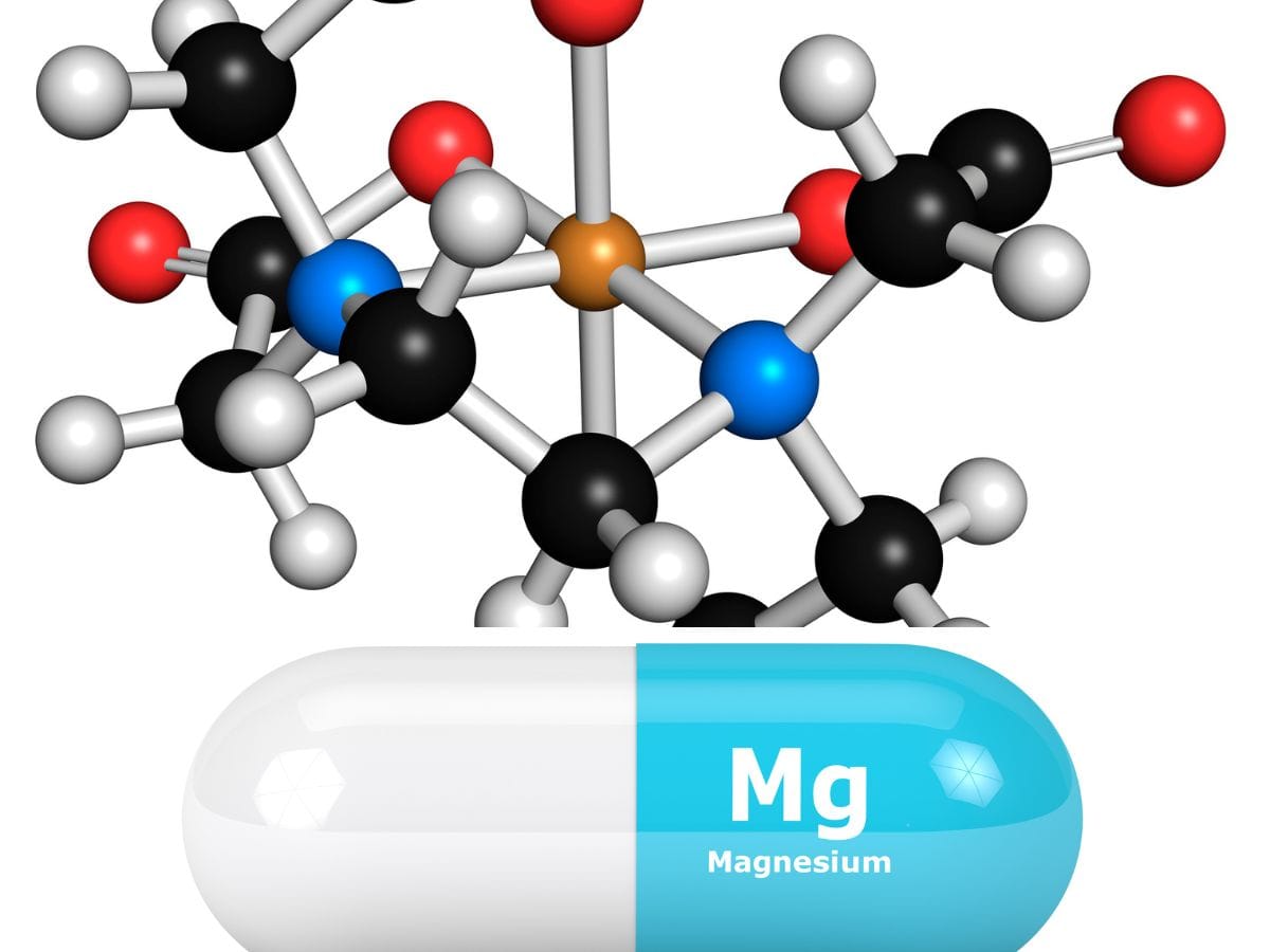 what does chelated magnesium do