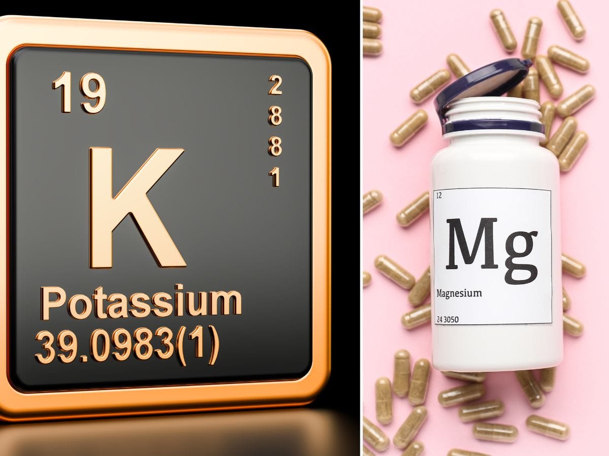 what does magnesium potassium do for the body