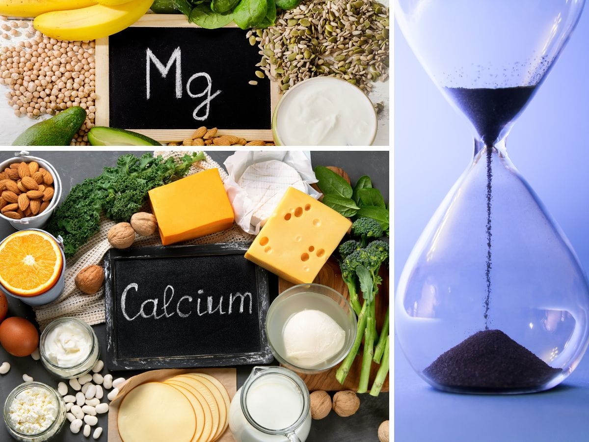 when should you take calcium magnesium