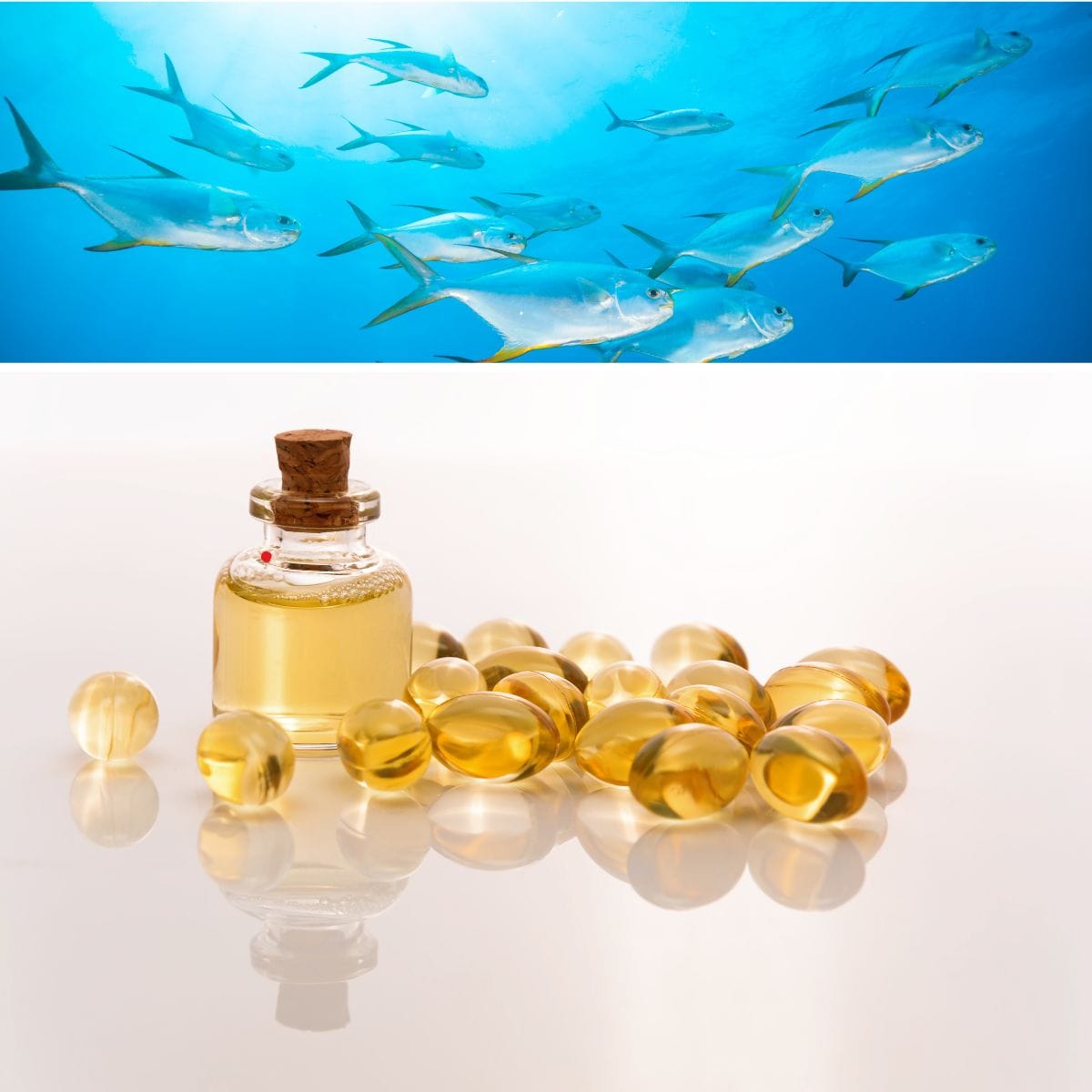 Can you buy fish oil in liquid form